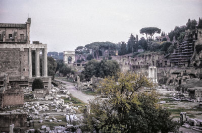 Rome Forum Ruins 
