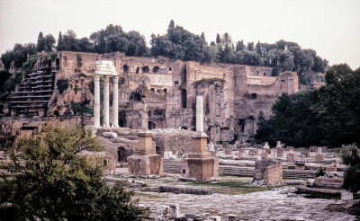 Rome Forum Ruins  