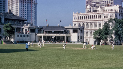 Afternoon playing Cricket in Hong Kong