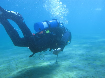 Dive pics 2012 265.jpg