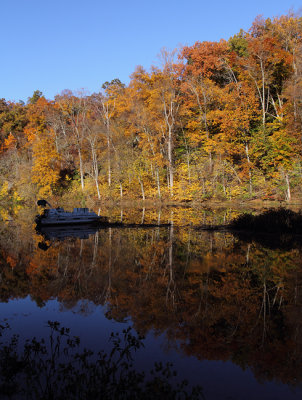 Fall colors