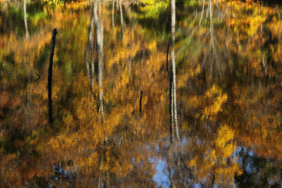 Fall colors
