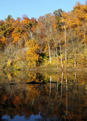 Fall colors