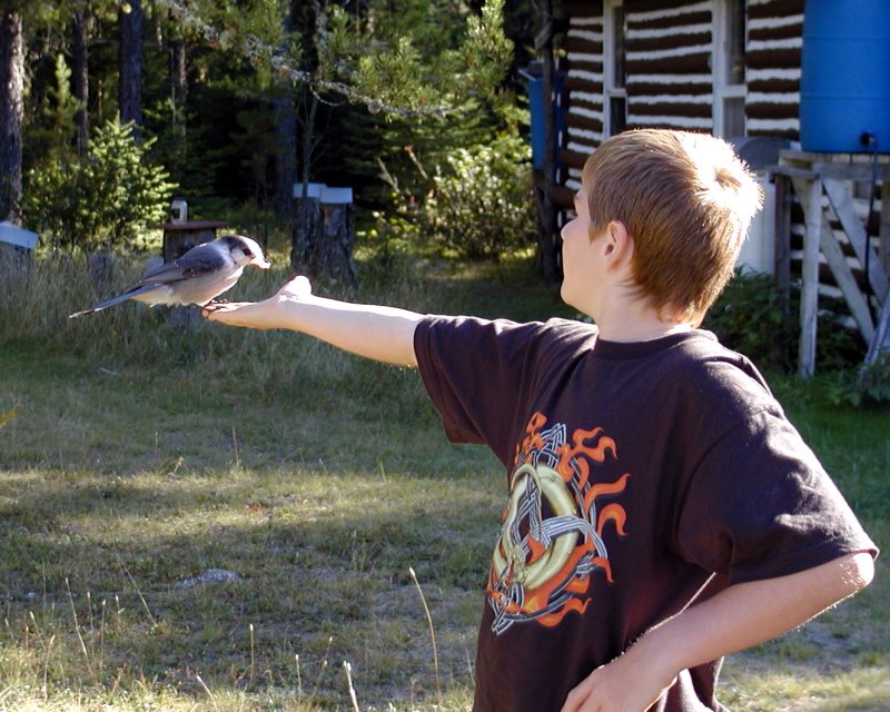 Andrew feeding a Jay