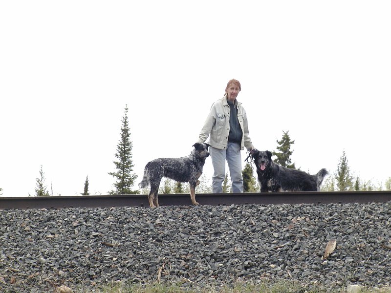 Shirl, Bandit and Shadow on the CN Main Line
