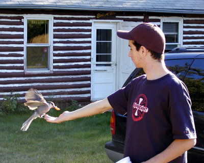 Cam feeding a Jay