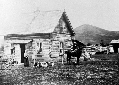 Homestead near Brandon