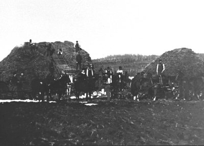 Homestead near Brandon