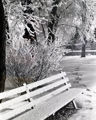 Park Bench after Snow