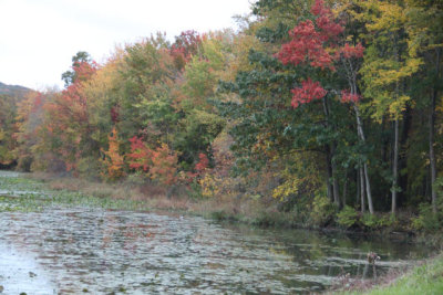 ir-121018__5761_18-15.jpg