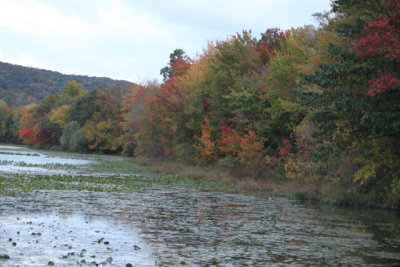 ir-121018__5762_18-15.jpg