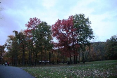 ir-121018__5773_18-31.jpg