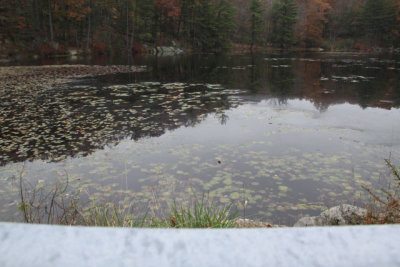 ir-121025__6261_12-21.jpg