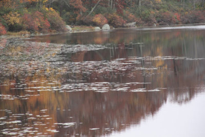 ir-121025__6268_12-29.jpg