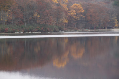 ir-121025__6270_12-30.jpg