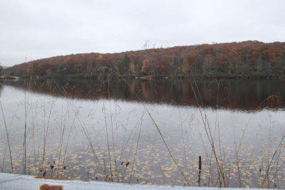 ir-121025__6314_13-05.jpg