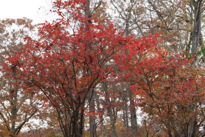 ir-121025__6347_13-56.jpg