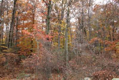 ir-121025__6350_14-17.jpg