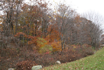 ir-121025__6351_14-17.jpg