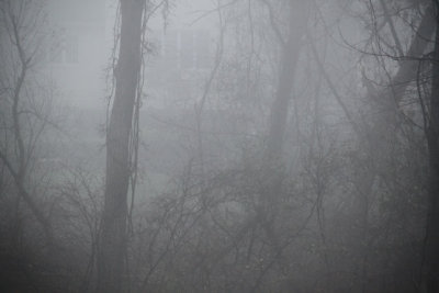 ir-121112__6422_08-49.jpg