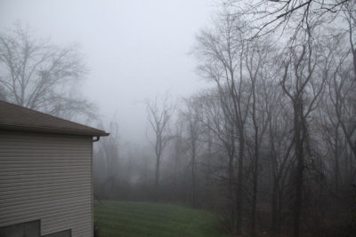 ir-121112__6423_08-50.jpg