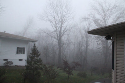 ir-121112__6434_08-58.jpg