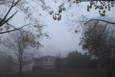 ir-121112__6437_09-00.jpg
