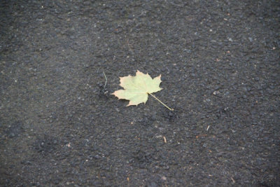 ir-121112__6439_09-06.jpg