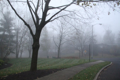 ir-121112__6443_09-08.jpg