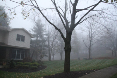ir-121112__6444_09-08.jpg