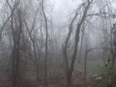 ir-121112__6406_08-46L.jpg