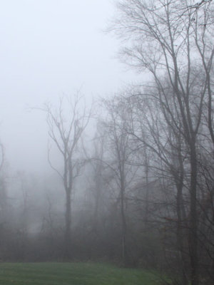 ir-121112__6409_08-47P.jpg