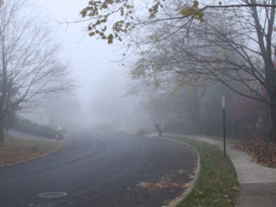 ir-121112__6445_09-08L.jpg