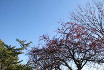 ir-121122__6615_12-29.jpg