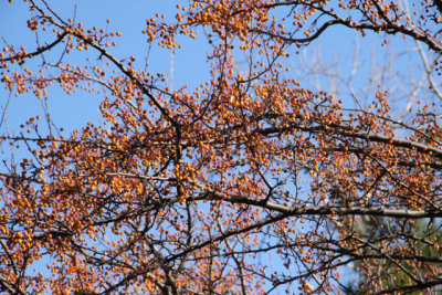 ir-121122__6616_12-30.jpg