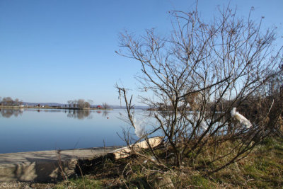 ir-121122__6630_13-22.jpg