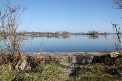 ir-121122__6632_13-22.jpg