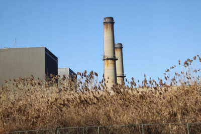 ir-121122__6634_13-25.jpg