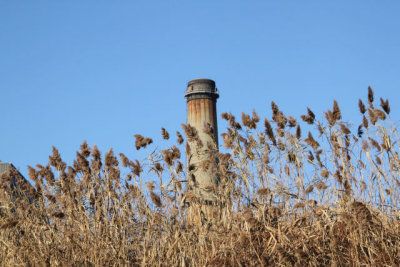 ir-121122__6635_13-27.jpg