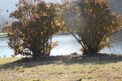 ir-121122__6642_14-01.jpg