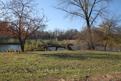ir-121122__6643_14-03.jpg