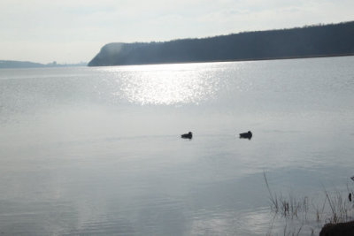 ir-121203__6799_12-19.jpg