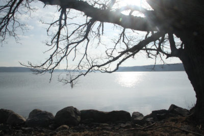 ir-121203__6800_12-20.jpg