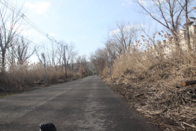 ir-121203__6805_13-02.jpg
