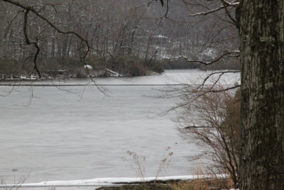 ir-121225__7695_14-42.jpg