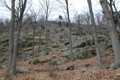 ir-121225__7708_15-09.jpg