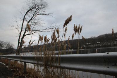 ir-121225__7717_15-36.jpg