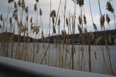 ir-121225__7719_15-39.jpg