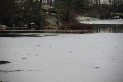 ir-121225__7722_15-42.jpg