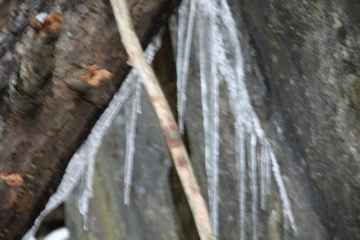 ir-121225__7729_15-51.jpg